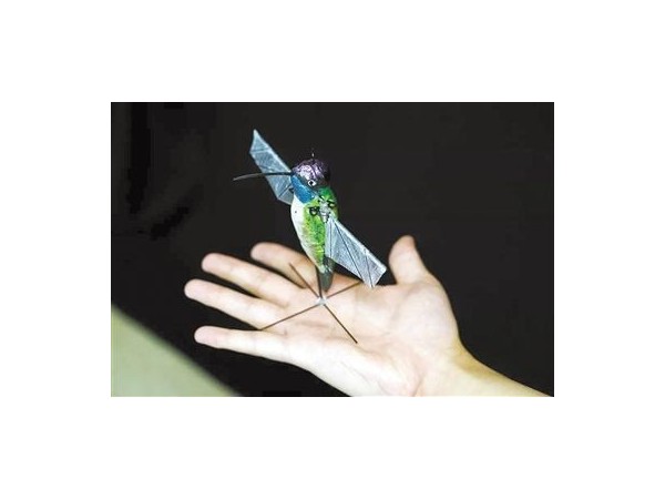可萌可兇 ▎盤點2019年那些有趣的仿生機器人