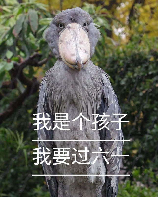 微信圖片_20190531135325 微信圖片_20190531135325